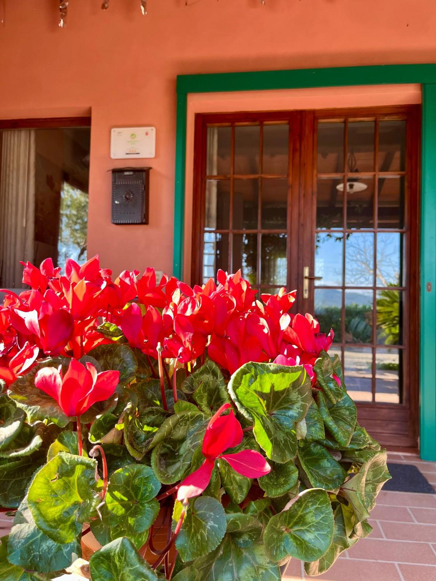 Agriturismo Valdo Grosseto Exterior foto